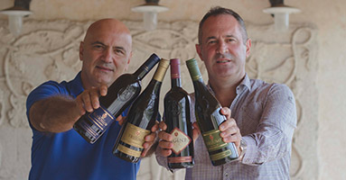 News from the Aleksandrović winery